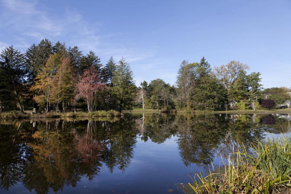 Jennifer Dulos case: Rockwell Swamp in Mead Memorial Park, New Canaan, Connecticut, the town where Jennifer lived, photographed in October 2011; not a location connected to the investigation