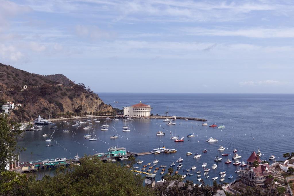 The Natalie Wood case: Avalon harbor on Santa Catalina Island, photographed in 2013. Wood died off Two Harbors, on another part of the island, not at this spot.
